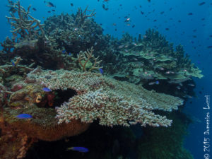 20150216_082000-P1010027Truk Heian Maru